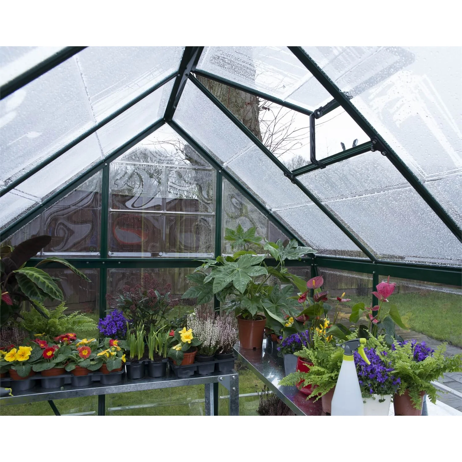 Palram 6 X 10ft Canopia Harmony Greenhouse - Green - Image 4