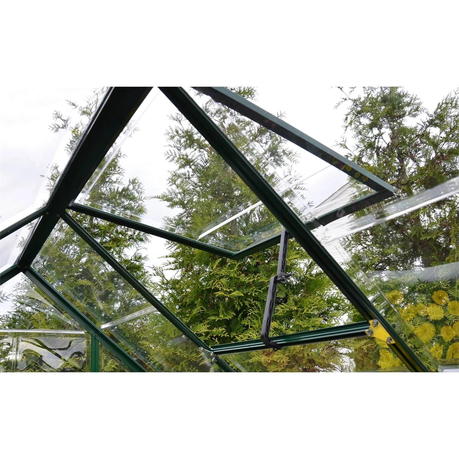 Palram 6 X 6ft Canopia Harmony Greenhouse - Green - Image 5