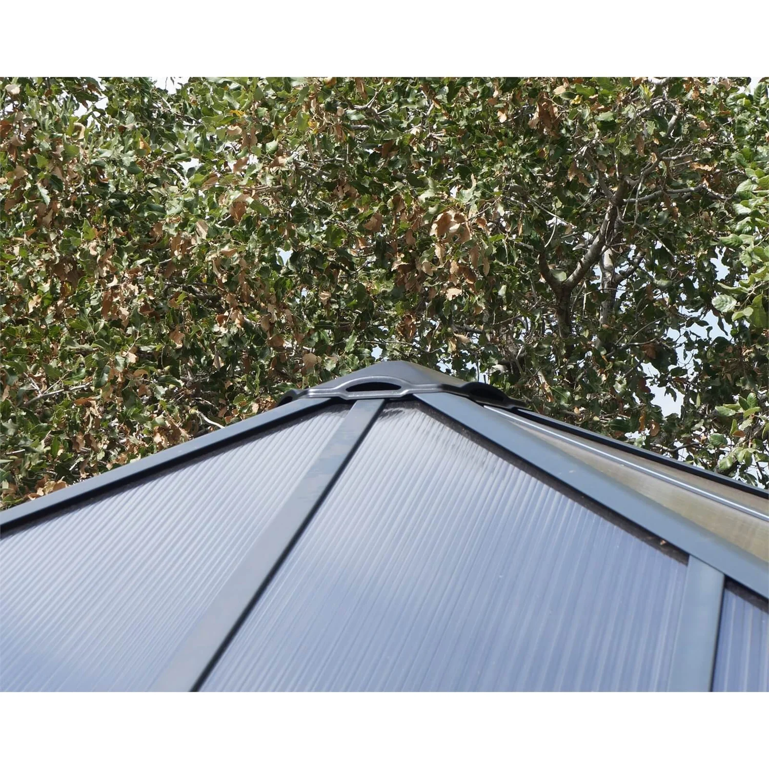 Palram - Canopia Garda Garden Conservatory Grey Bronze - Image 5