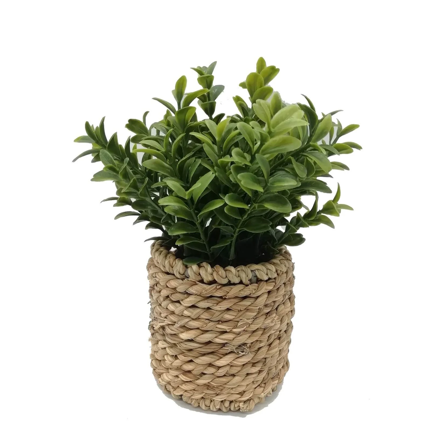 Milan Leaves In Rattan Basket