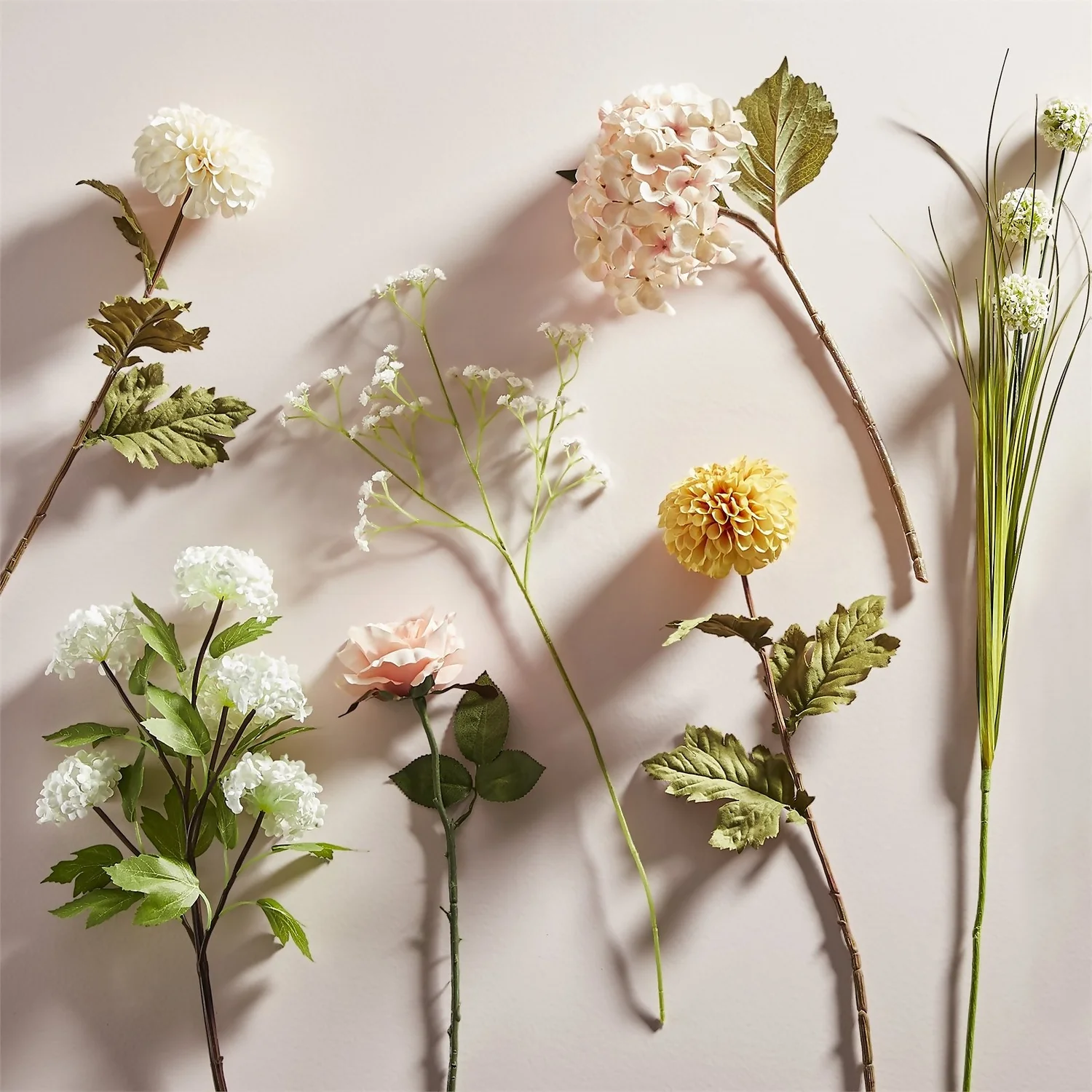 Viburnum - White - Image 2