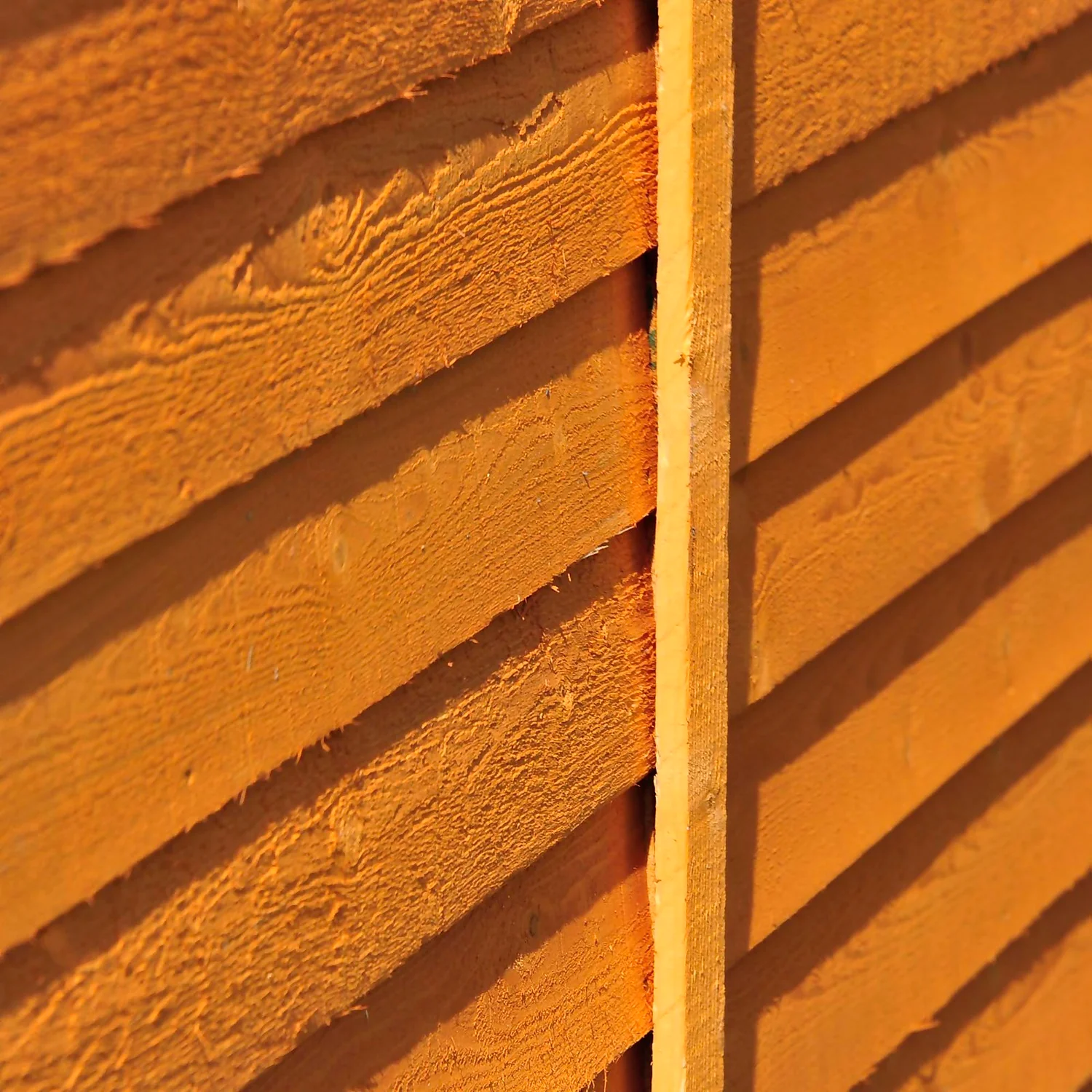 Shire 12 X 8ft Shed Overlap Double Door - Image 7