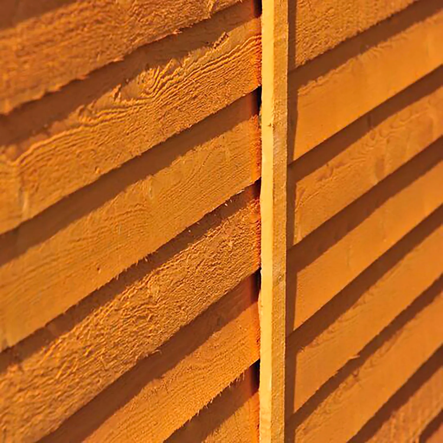 Shire 12 X 8ft Shed Overlap Double Door - No Windows - Image 8