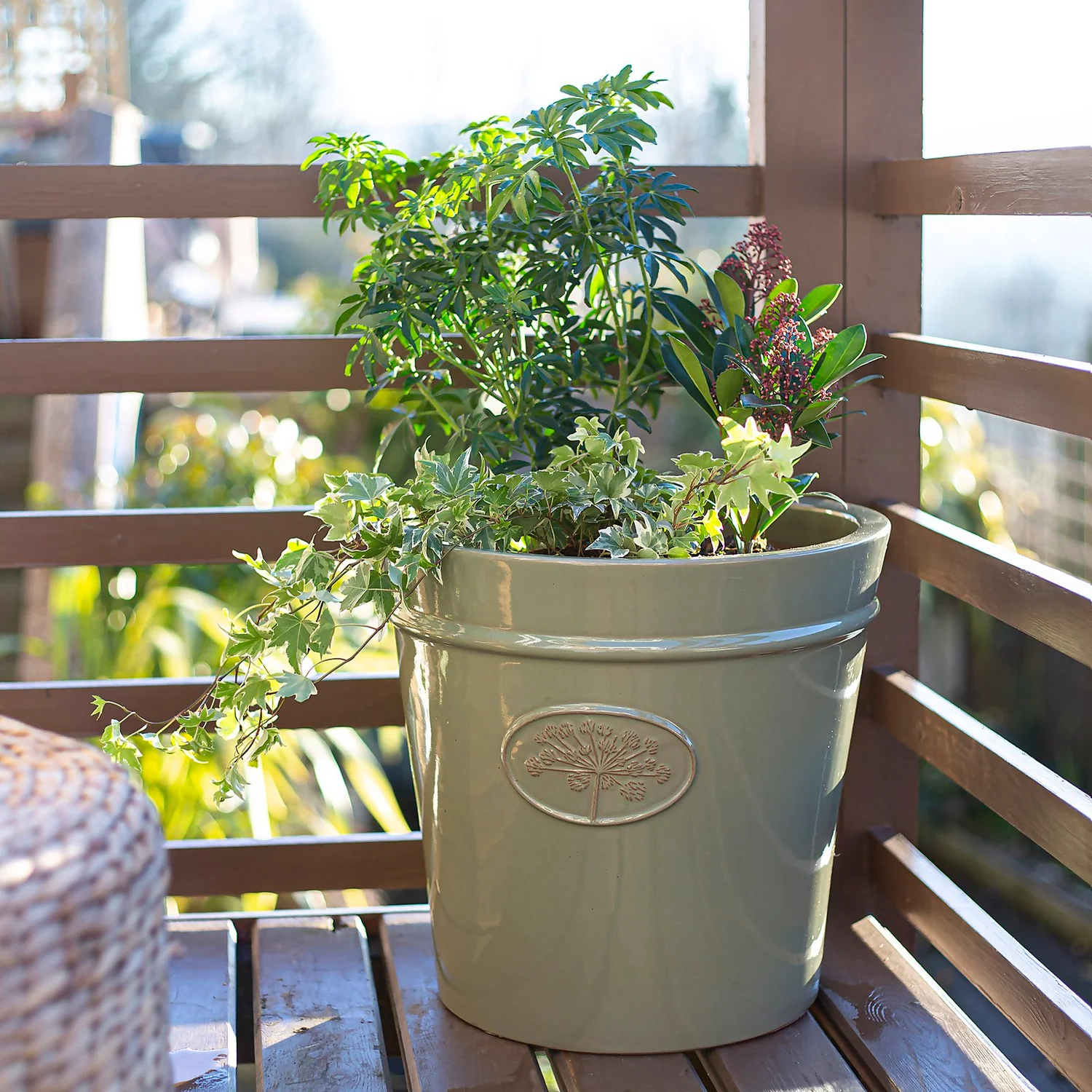 Country Living Heritage Sage Cone Pot - 33cm - Image 2