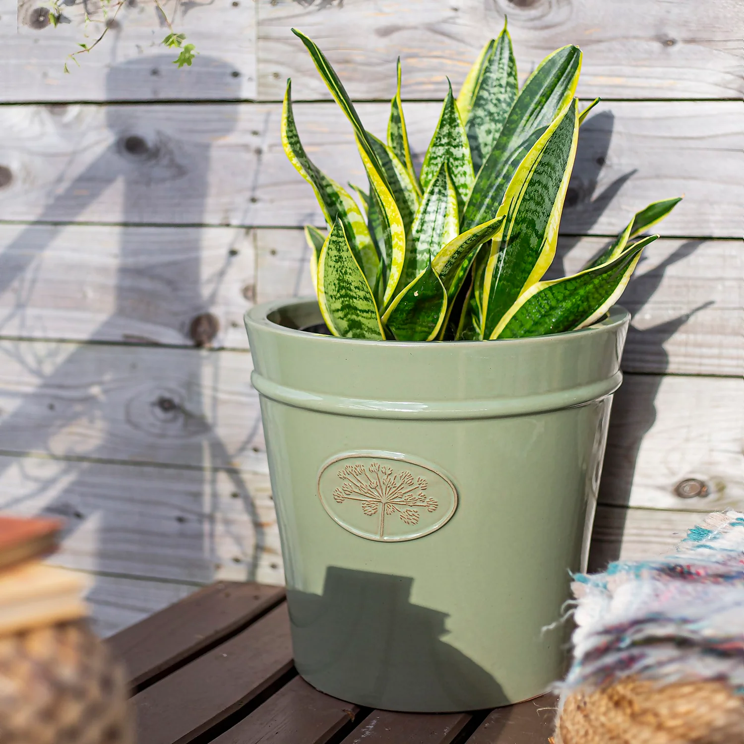 Country Living Heritage Sage Cone Pot - 33cm - Image 5