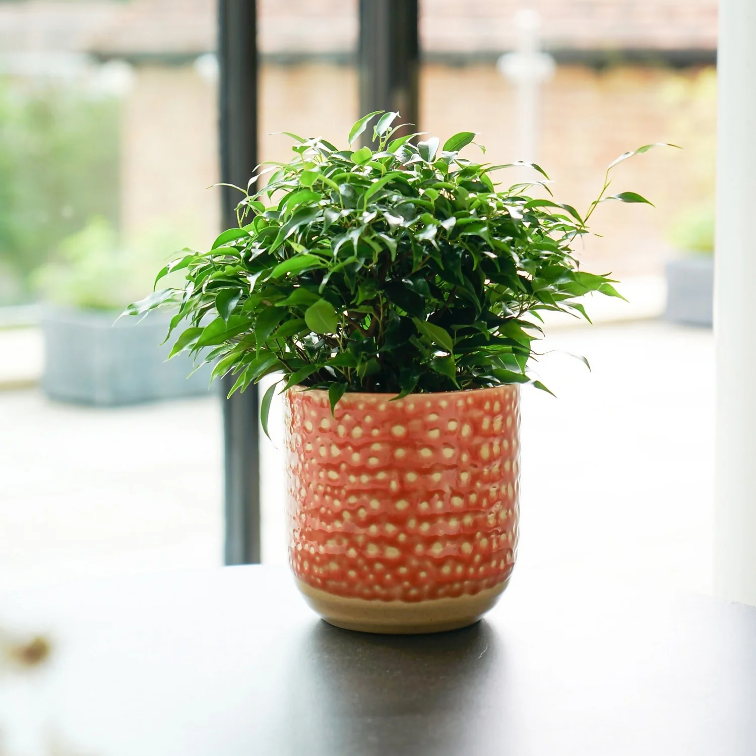 House Beautiful Titian Glaze Planter 13cm - Image 2