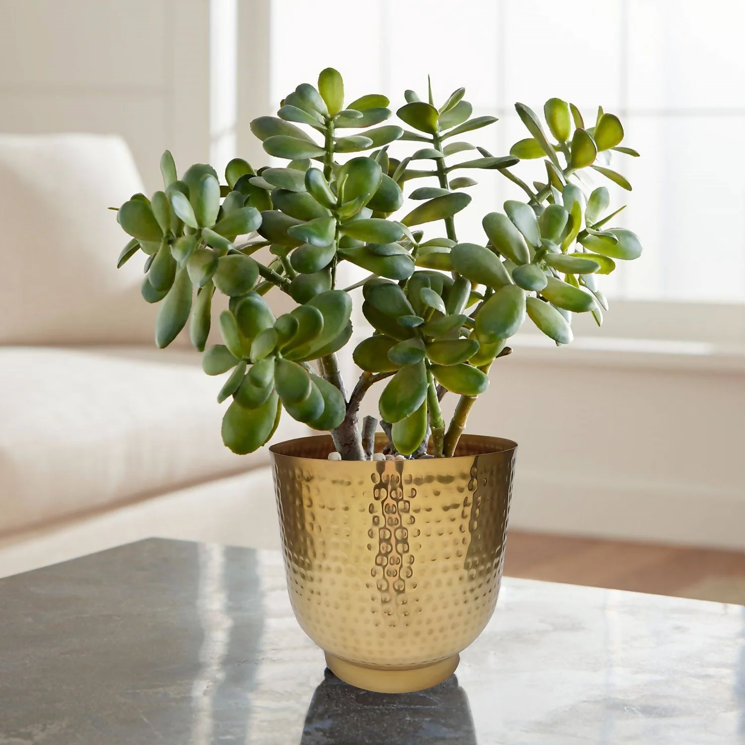 Hammered Brass Indoor Plant Pot - 20cm - Image 6