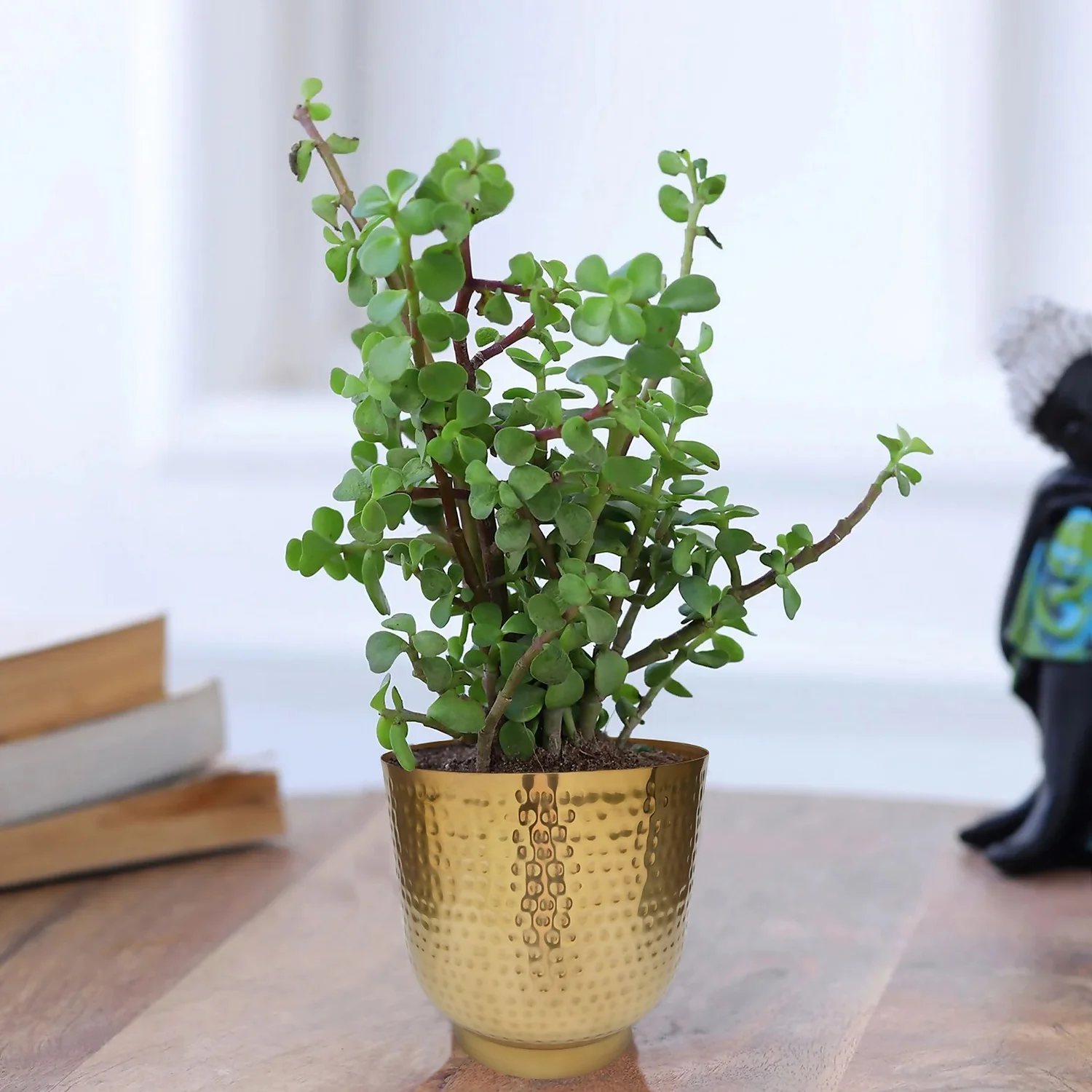 Hammered Brass Indoor Plant Pot - 20cm - Image 5