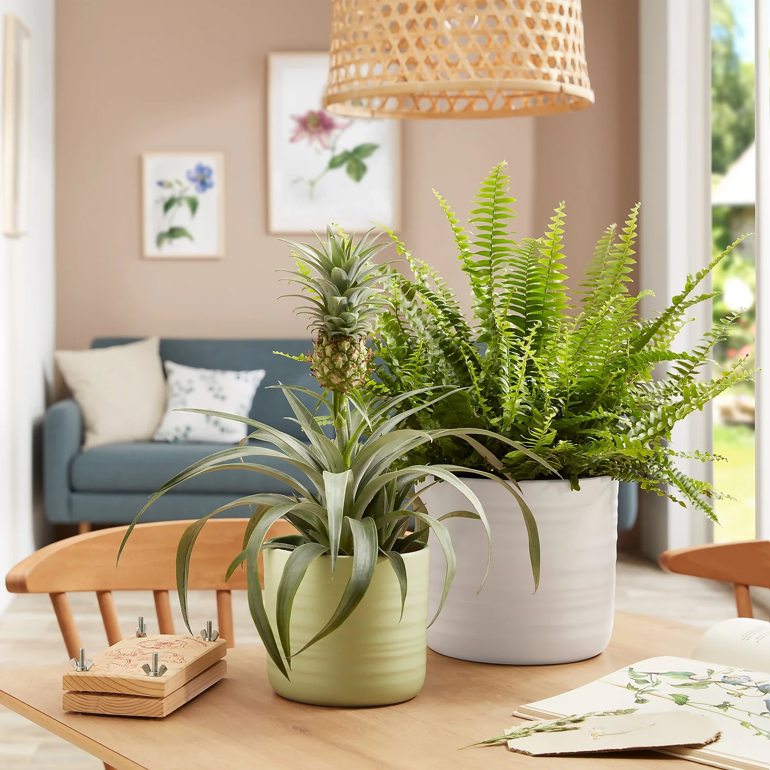 Scheurich Ripple Soft Green Indoor Pot - 12cm - Image 2