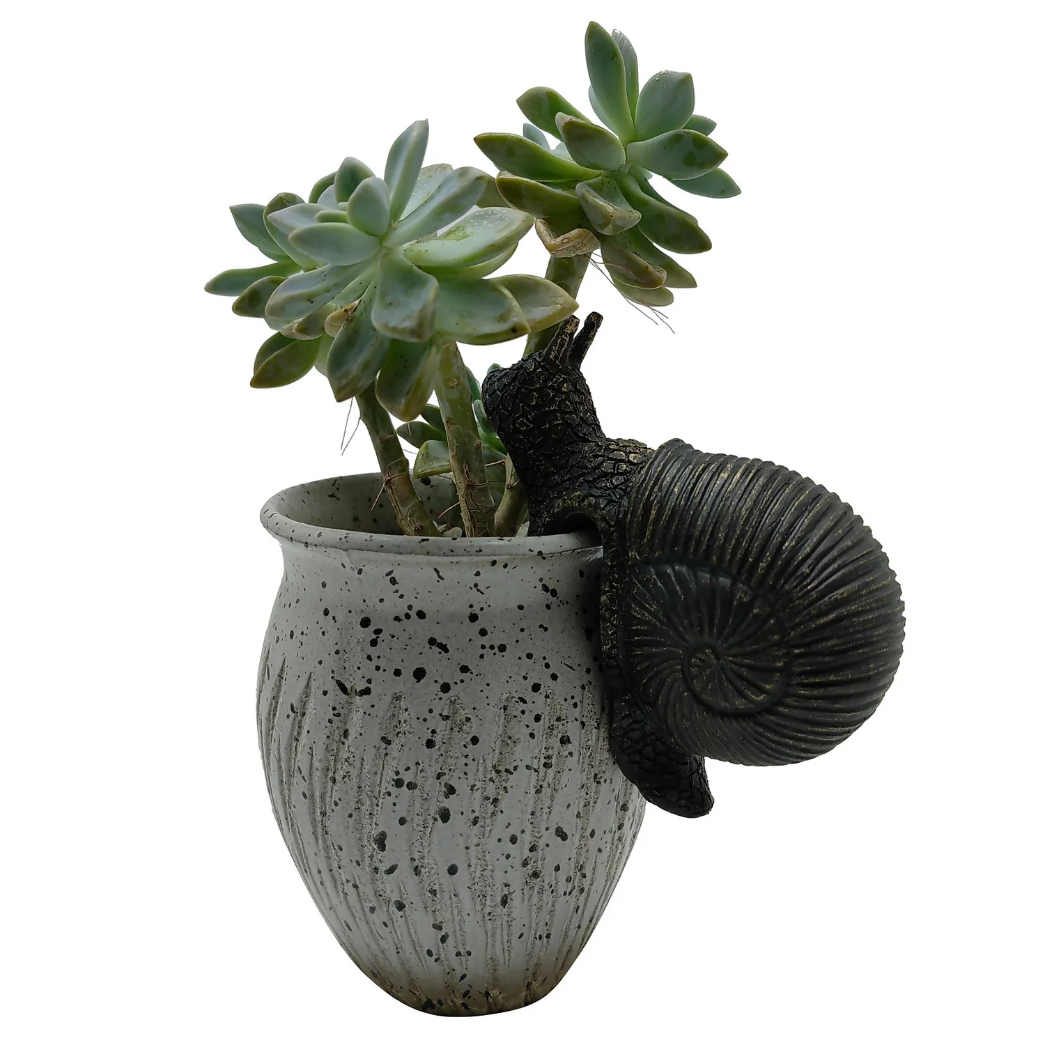 Homebase Animal Pot Hangers - Assorted Designs - Image 6