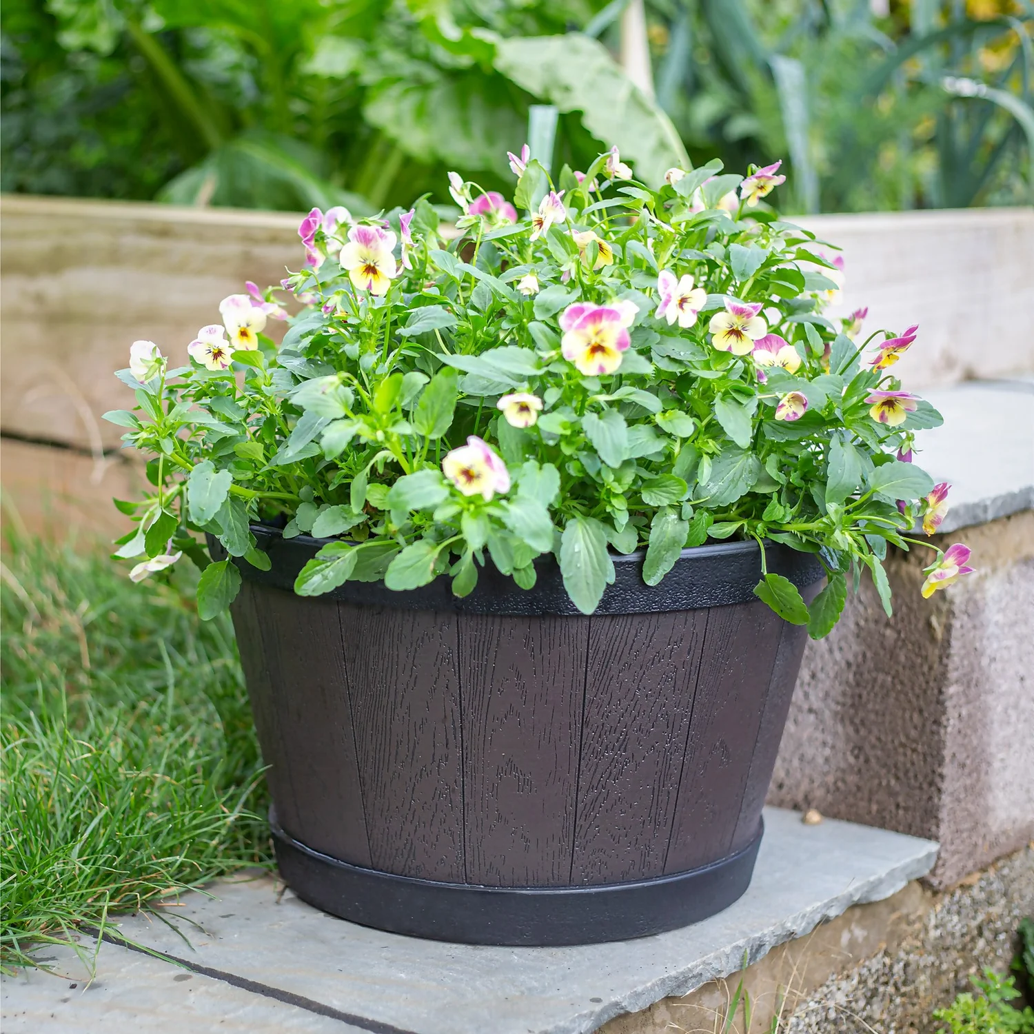 Banded Whiskey Barrel Planter - 39cm - Image 3