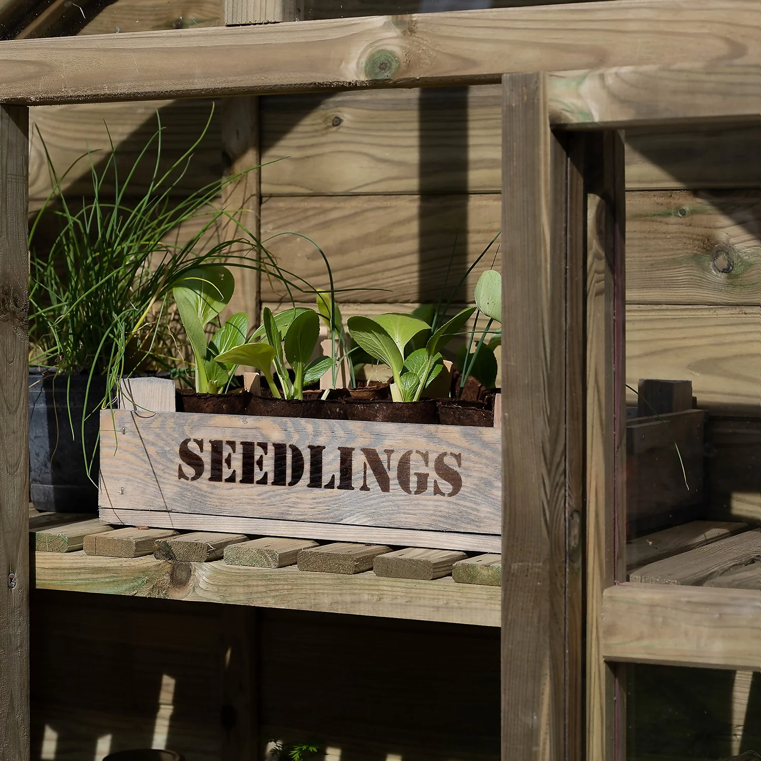 Forest Garden Georgian Wall Greenhouse With Auto Vent - Image 5